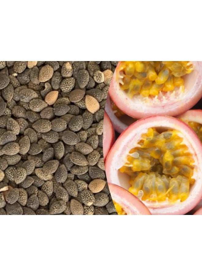 50Pcs Purple Passion Fruit Seeds  For Home Garden Planting - Image 3
