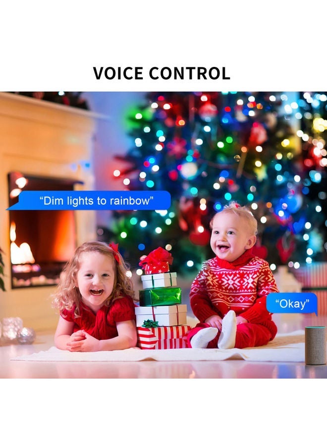 NIBEMINENT Smart Globe Ball String Light With Accessories Multicolour 10meter - Image 4