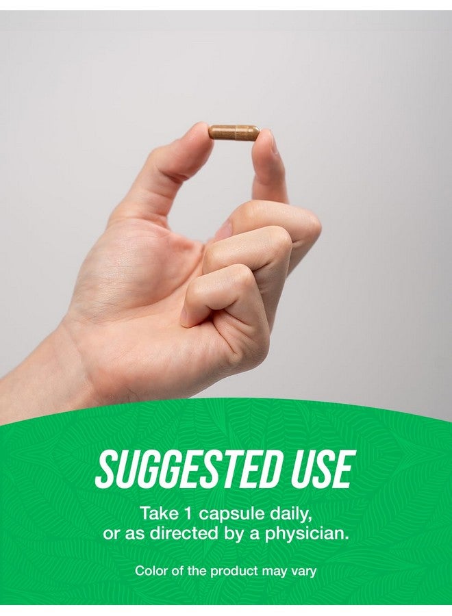 BulkSupplements.com Astragalus Capsules - from Astragalus Root, Astragalus Supplement - Vegan, 1 Capsule per Serving, 240 Veg Capsules (Pack of 1) - Image 4