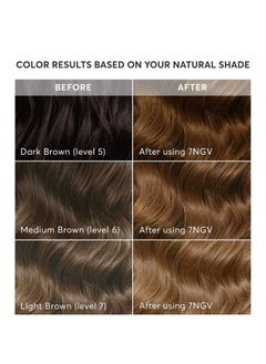 Madison Reed Radiant Hair Color Kit, Permanent Hair Dye, 100% Gray Coverage, Ammonia-Free, Lucca Light Brown 7NGV Light Golden Brown, Pack of 1  - Image 3