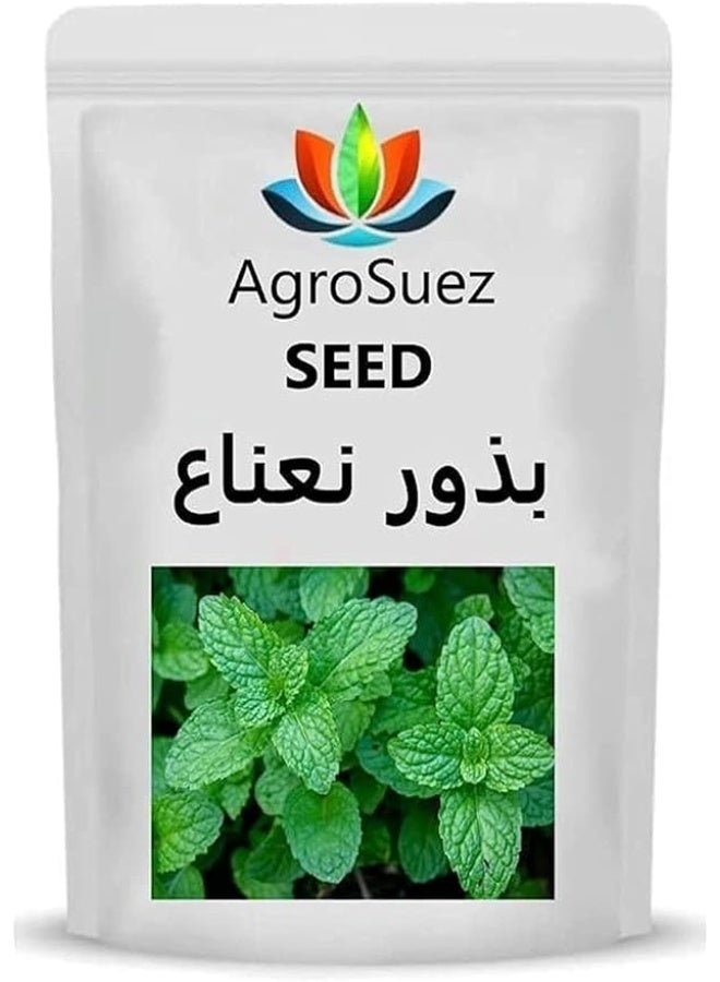AgroSuez Home Farming Damask Peppermint Seeds