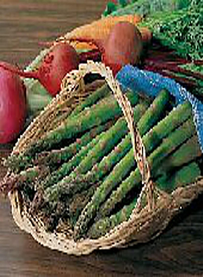 GGOOT Jersey Knight Asparagus Seeds (20+ Seeds) | Non GMO | Vegetable Fruit Herb Flower Seeds for Planting | Home Garden Greenhouse Pack