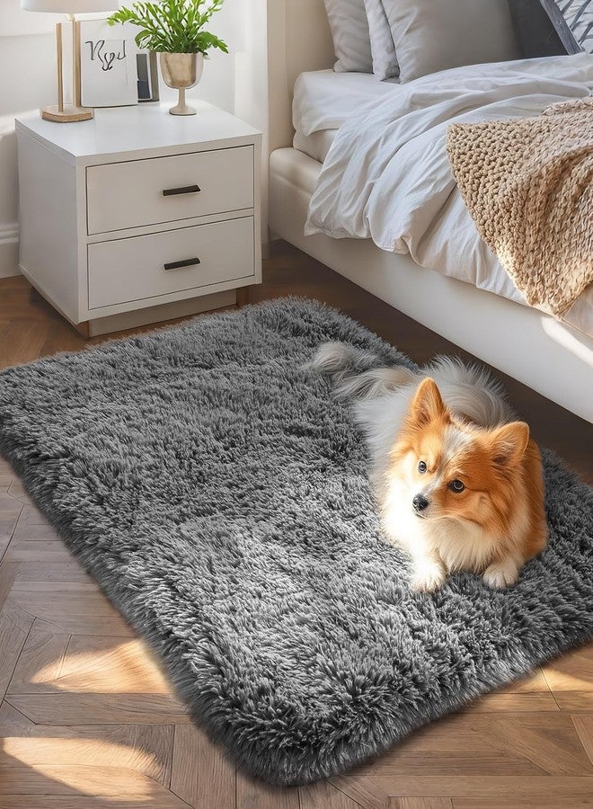Ophanie Small Rug Upgrade Non Slip Throw Bedside Area Rugs, Fluffy Soft Grey Mini Bedroom Carpet, Affordable Door Entryway Indoor Inside Front Entrance Dog 2x3 Mat, Home Decor Aesthetic, Nursery - Image 1