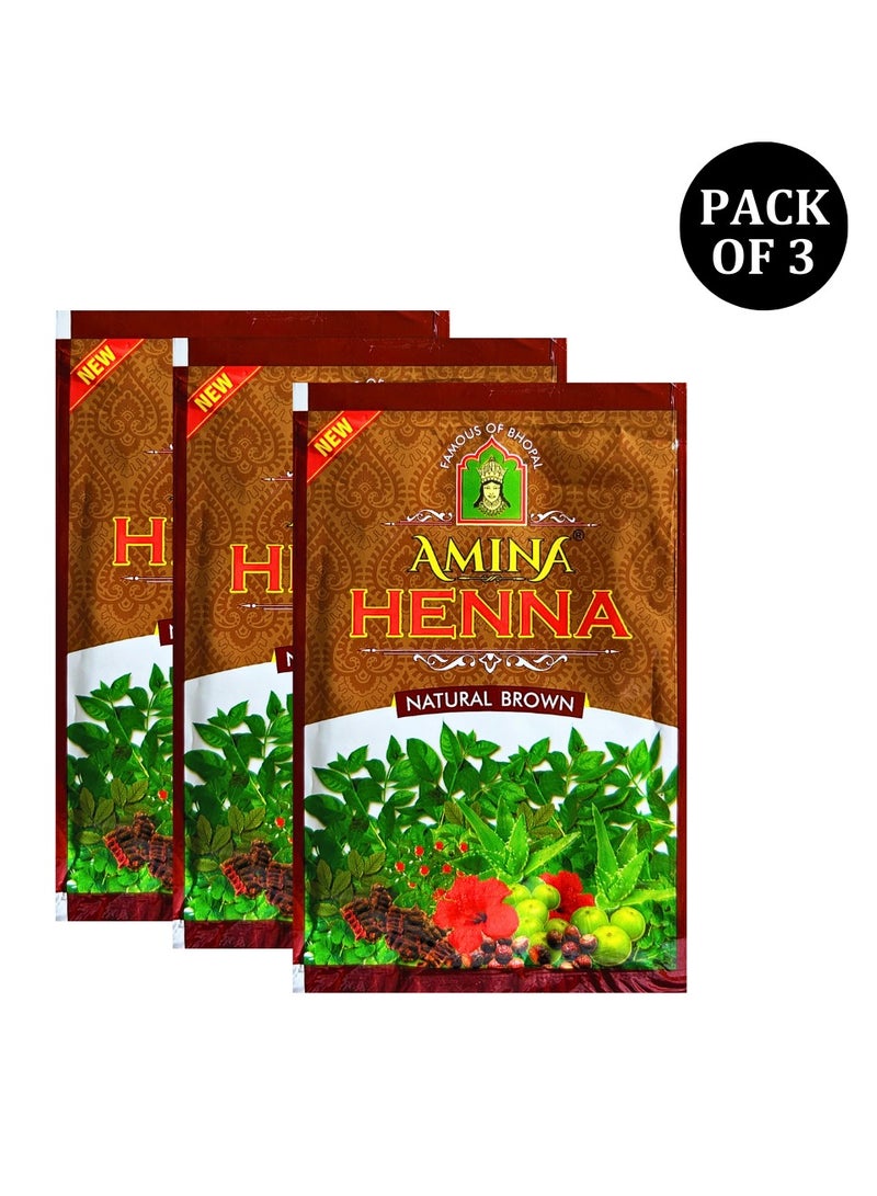 Amina Natural Brown Henna Powder For Hair Color, Brown Hair, Herbal Conditioning Hair Dye for Silky & Shiny Soft Hair Colour for Men & Women (25 Gms x Pack Of 3) - Image 3