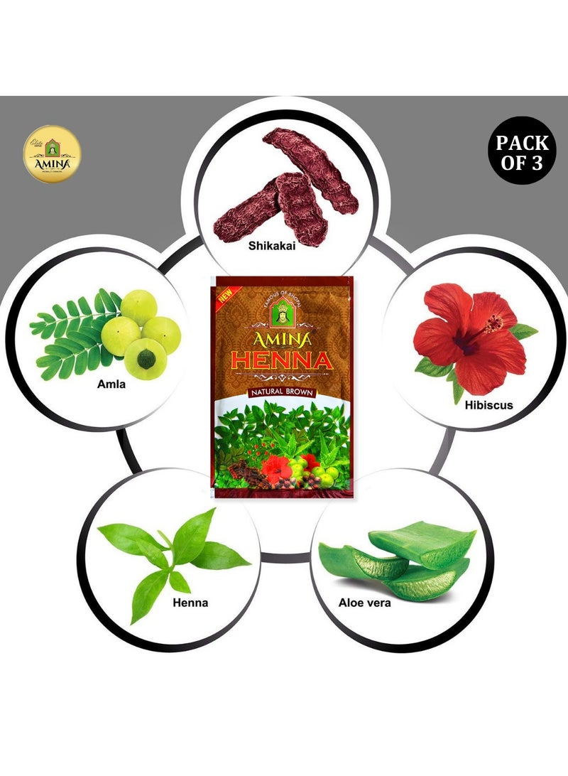 Amina Natural Brown Henna Powder For Hair Color, Brown Hair, Herbal Conditioning Hair Dye for Silky & Shiny Soft Hair Colour for Men & Women (25 Gms x Pack Of 3) - Image 4