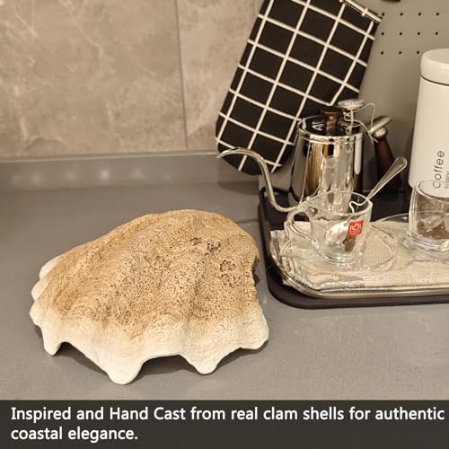 ALIWINER Medium Pearl White Weathering Scalloped Clam Shell Bowl Sea Shell Decor for Nautical Beach House,Coastal Decor Gift of Housewarming and Wedding Party - Image 5