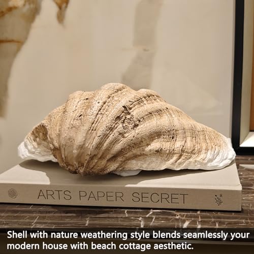 ALIWINER Medium Pearl White Weathering Scalloped Clam Shell Bowl Sea Shell Decor for Nautical Beach House,Coastal Decor Gift of Housewarming and Wedding Party - Image 2