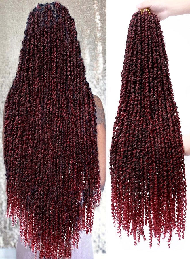 Flagship Passion Twist Hair 30 inch PreTwisted Long Passion Twist Burgundy Crochet Hair, Ombre Red 6 Packs Bohemian Crochet Pre Looped Braids Hair for Black Women Water Wave Hair Extensions - Image 1