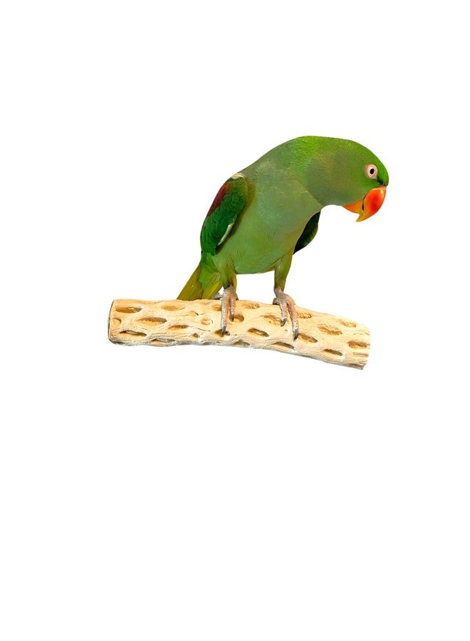 Polly's Manu Mineral Perch for Parakeets, Cockatiels, Macaws, Amazons (Large) - Image 2