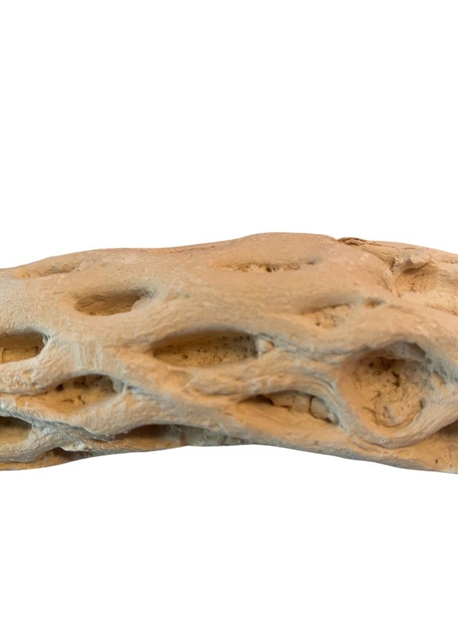 Polly's Manu Mineral Perch for Parakeets, Cockatiels, Macaws, Amazons (Large) - Image 4