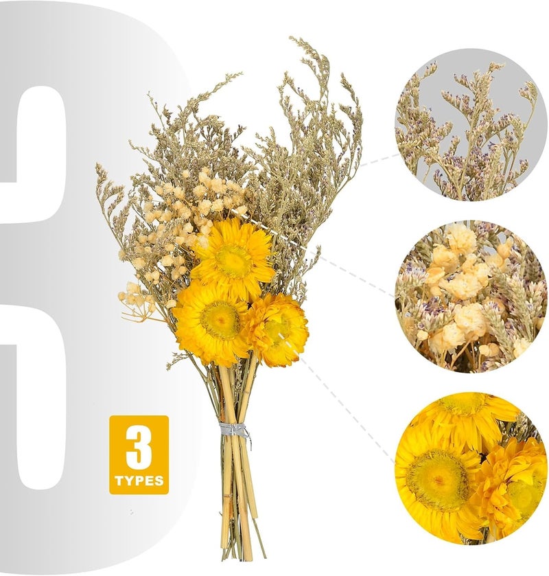 KASTWAVE Eternal Sunflower Preserved Flowers, Long-Lasting Sunflower Flower Gift, with Desmodium Gyrans in a Box, Gifts for Valentines Day, Mothers Day, Birthday, Graduate, Thanksgiving - Image 2