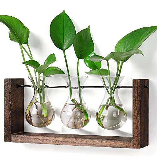 YIBOT Wall Hanging Planter Propagation Station Glass Flower Vase for Hydroponics Plants, Plant Terrarium with Wooden Stand, Bathroom, Home Office Living Room Decor Gift - Image 1