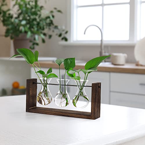 YIBOT Wall Hanging Planter Propagation Station Glass Flower Vase for Hydroponics Plants, Plant Terrarium with Wooden Stand, Bathroom, Home Office Living Room Decor Gift - Image 5