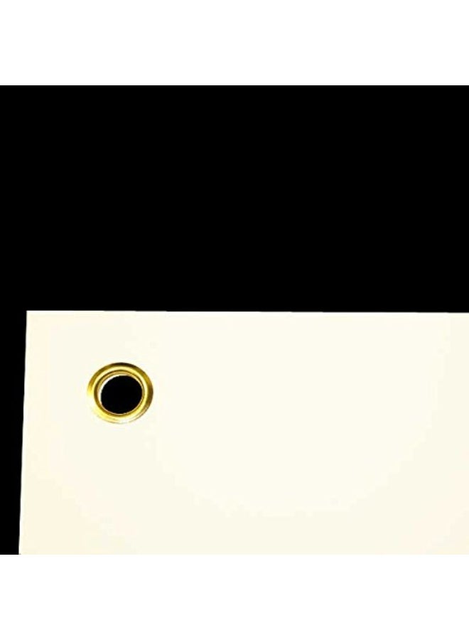 مخطط تشريحي لأربطة المفاصل - Image 2