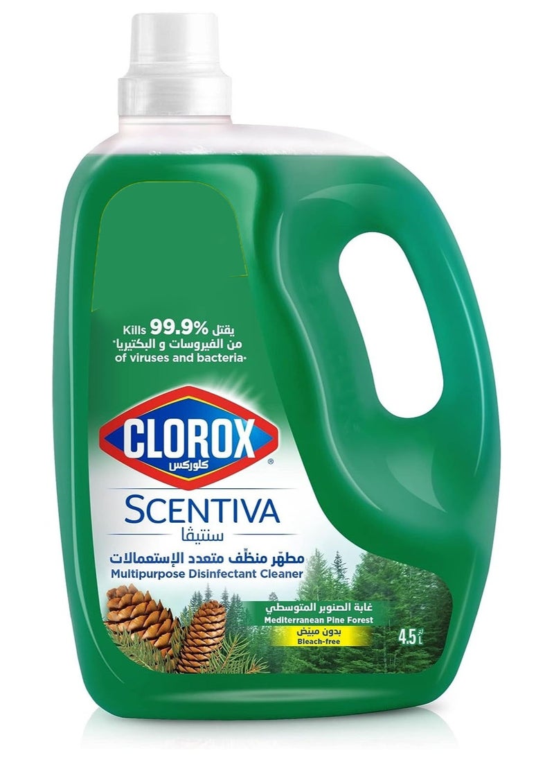 Scentiva Bleach Free Multipurpose Disinfectant Kills 99.9% of Viruses Floor Cleaner Pine Scented 4.5L - pzsku/ZE0B66A007784D4DEB567Z/45/_/1701248113/fa6a5a91-a766-4689-9289-e1d01269e3ae