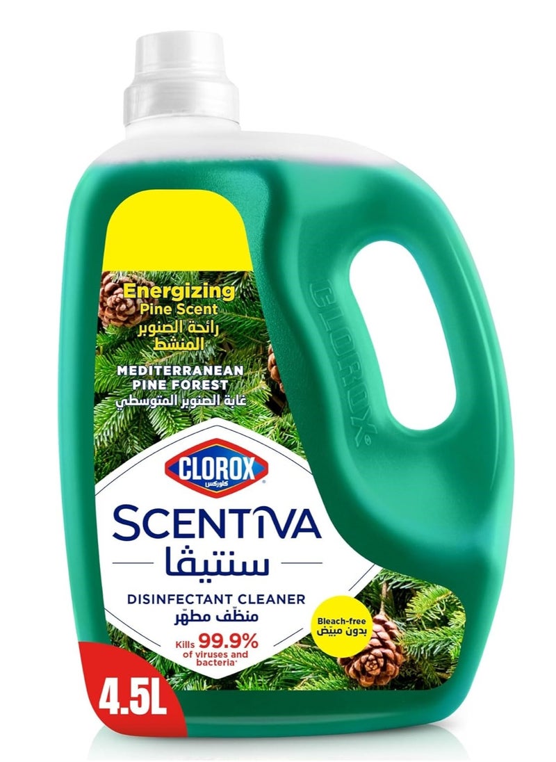 Scentiva Bleach Free Multipurpose Disinfectant Kills 99.9% of Viruses Floor Cleaner Pine Scented 4.5L - pzsku/ZE0B66A007784D4DEB567Z/45/_/1722798210/ff17f41e-4ab5-474b-9928-7cb2f8b08fdc