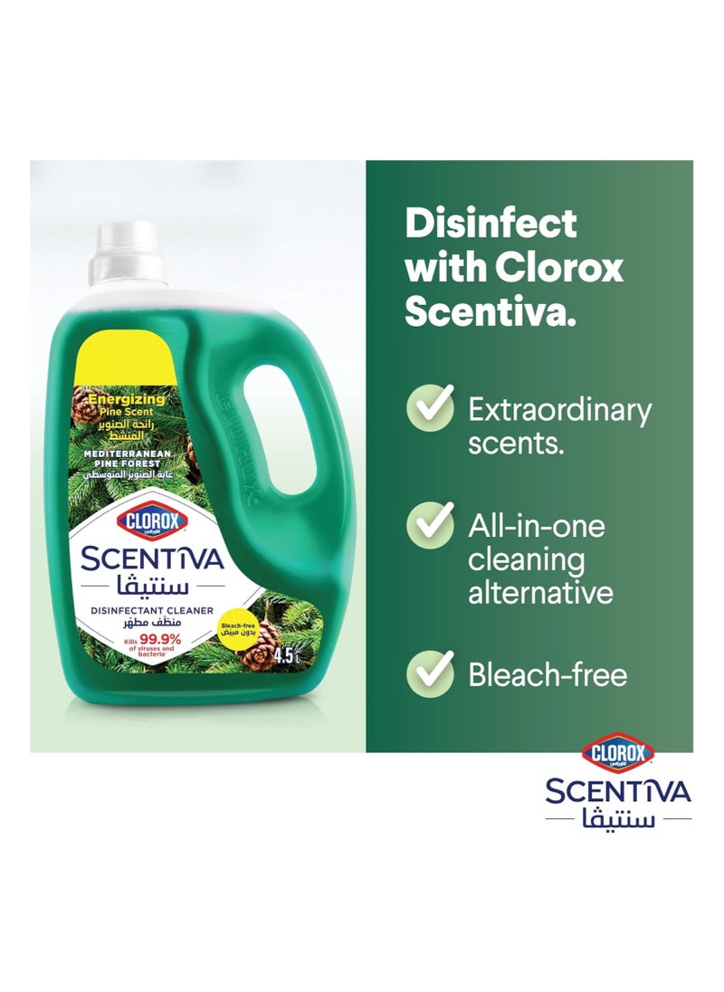 Scentiva Bleach Free Multipurpose Disinfectant Kills 99.9% of Viruses Floor Cleaner Pine Scented 4.5L - pzsku/ZE0B66A007784D4DEB567Z/45/_/1722798311/78df9857-90e7-44e3-aee3-37945d3fe81e