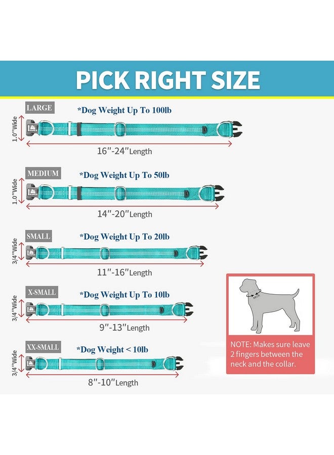با بِت طوق كلب مريح من BAAPET مزود بحلقة مزدوجة على شكل حرف D وحامل لبطاقة الهوية للجراء الصغيرة والمتوسطة والكبيرة (XS - 3/4 بوصة × (9-13 بوصة)، أزرق مخضر) - Image 4