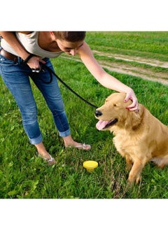 Simple Solution Pee Post, Outdoor Dog Training Aid, Pheromone Infused Dog Pee Post  - Image 5