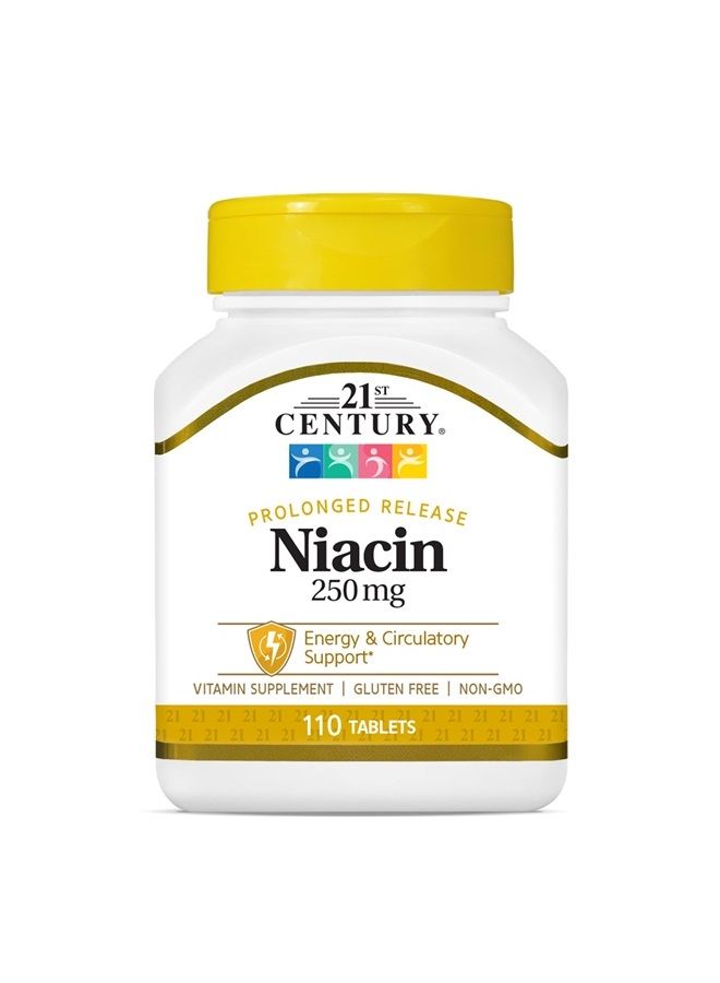 21st Century أقراص النياسين 250 ملغ، 110-عدد (عبوة من 2) - Image 1