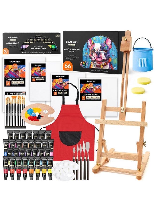Shuttle Art 66 Pack Acrylic Painting Set - Image 1