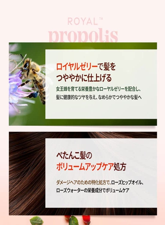 Kerasys Propolis Royal Jelly Extract Rosehip Oil Rose Water Shiny and Healthy Hair Propolis Red Volume 33.8 fl oz / 1L (Treatment, 1-Pack) - Image 4