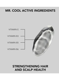 Hair Situation Hair Situation Mr. Cool Wet Look Hair Gel - Strong Hold, High Shine, Alcohol-Free, Clear Styling Formula, Anti-Humidity Frizz Control, Non-Flaking, Non-Greasy, Long-Lasting for All Hair Types 8 Fl Oz  - Image 2