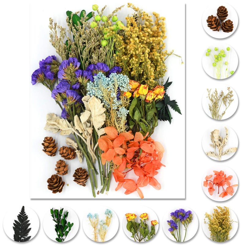 Vignee Real Dried Pressed Leaf FlowersMultiple Colorful Pressed Flowers Daisies for Craft Resin Jewelry Making Art Craft DIYVioletGreen