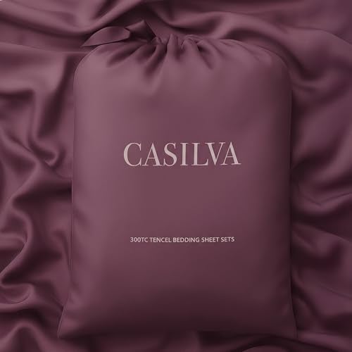 CASILVA Eucalyptus Sheets Infused with Silver for AntiOdor Softer Than Silk Fibers More Cooling Than Cotton Perfect for Hot Sleepers Sensitive Skin 100 Tencel Lyocell Queen Sheet Set - Image 1