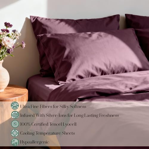 CASILVA Eucalyptus Sheets Infused with Silver for AntiOdor Softer Than Silk Fibers More Cooling Than Cotton Perfect for Hot Sleepers Sensitive Skin 100 Tencel Lyocell Queen Sheet Set - Image 3