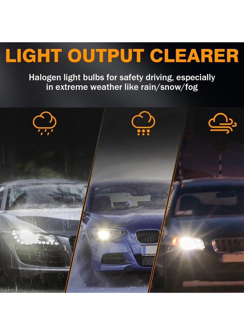 LIGARO - Ligaro 880 12V 27W Halogen Headlight Bulbs Ultra Bright 5000K Filament Light with 620 Lumens and 1000 Hours Lifespan 1pcs BL 10305 - Image 1