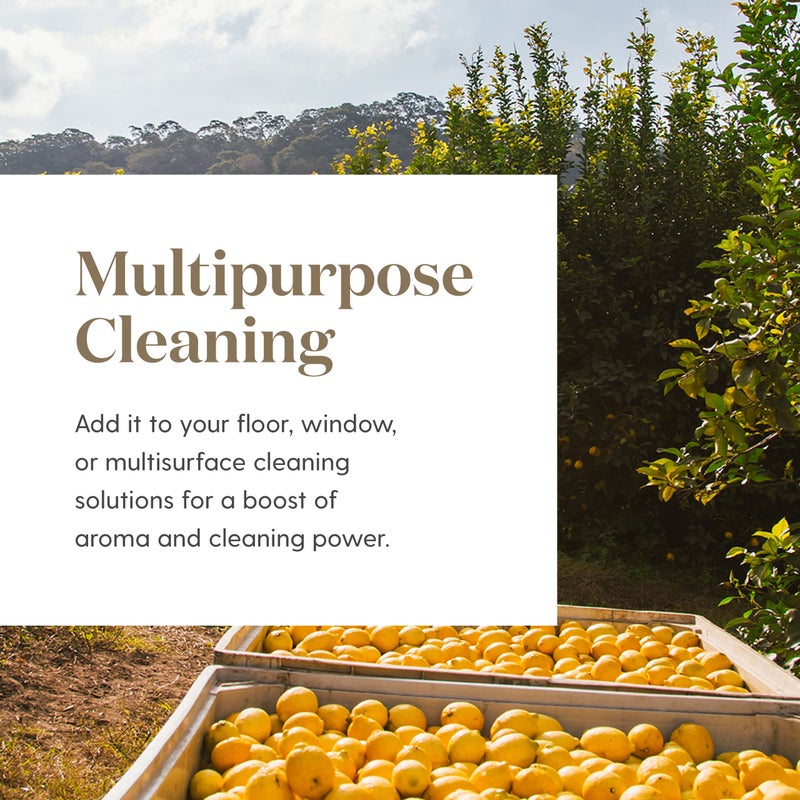 Young Living Premium Grade Lemon Essential Oil 15ml, 100% Pure & Natural Invigorating Aromatherapy Young Living Certified Energize and Refresh Mind Body and Spirit Uplifting Mood Enhancing Focus - Image 3