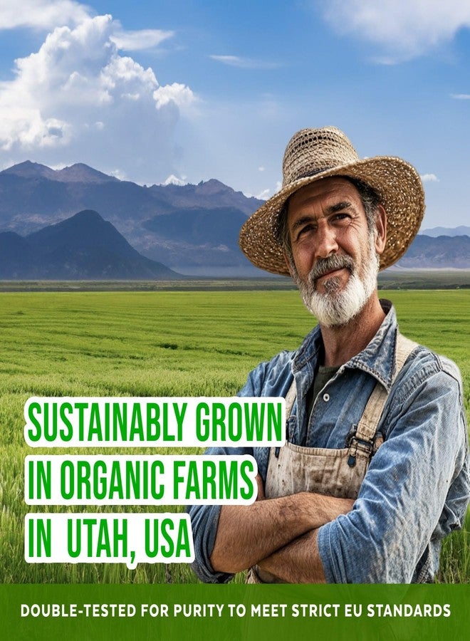 Numami Organic Barley Grass Juice Powder, Grown in USA, Pure Raw and Water Soluble, Add to Your Smoothie or Drink as a Juice - Image 5