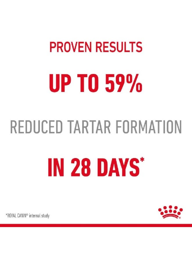 رويال كانين طعام القطط الجاف من رويال كانين للعناية بالأسنان - Image 3