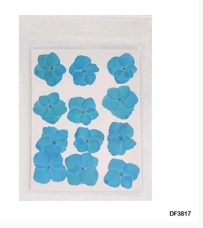 Natural Dried Flower for Resin Art Decorative| for Candle|Handmade Epoxy Crafts| DIY Jewelry |Photoframe Ornament | Resin Art|SOAP Making -Assorted (Hydrangeas Flowers [Luxury Light Blue])
