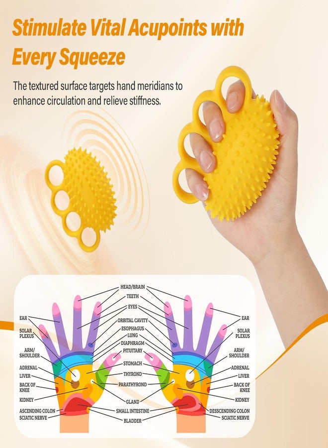 Fanwer Hand Exercise Stress Ball - Grip Strength Trainer, Hand Strengthener for Physical Therapy, Finger Strengthener, Squeeze Ball for Rehabilitation & Hand Massage, for Adults, Seniors & Disabled - Image 2