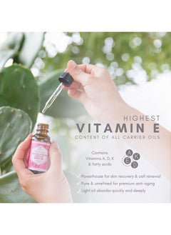 Leven Rose Leven Rose Prickly Pear Seed Oil (Barbary Fig) 100% Pure Organic Prickly Pear Oil, Extra Virgin, Cold Pressed, All Natural Face, Dry Skin & Body Moisturizer and Hair Treatment 1 oz  - Image 3