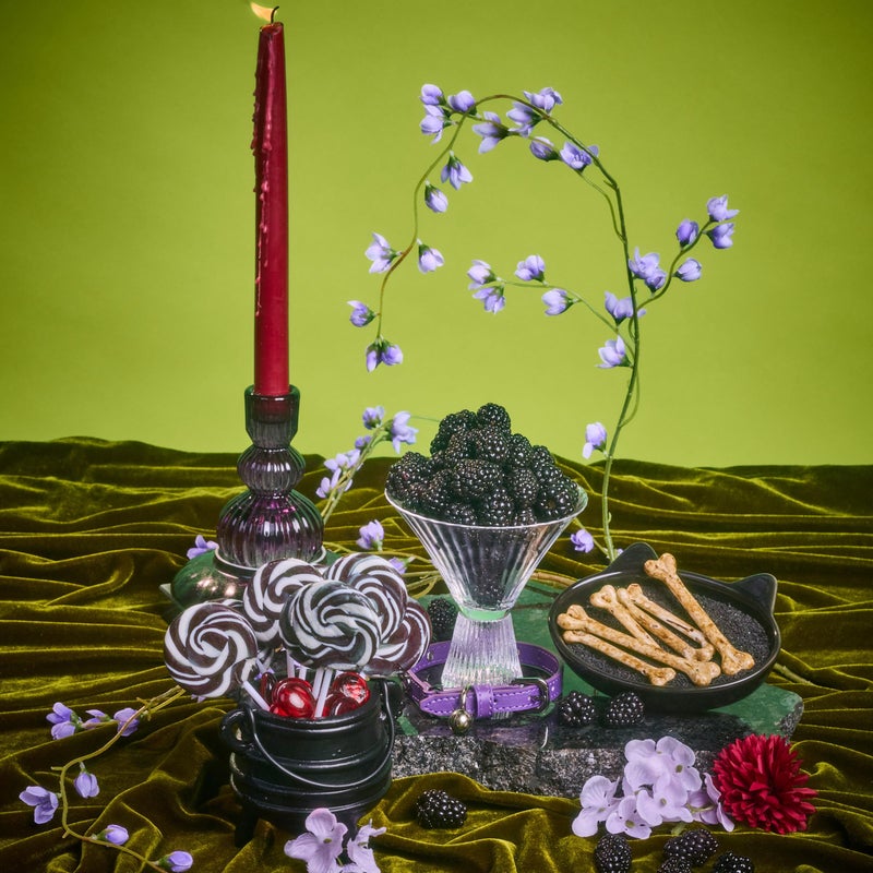 Tree Hut Meyow Whipped Shea Body Butter, Long-lasting Hydration Leaves Skin Feeling Soft & Moisturized, Lightweight, Nourishing Essential Body Care, Limited Edition Scent, 8.4 Fl Oz. - Image 5