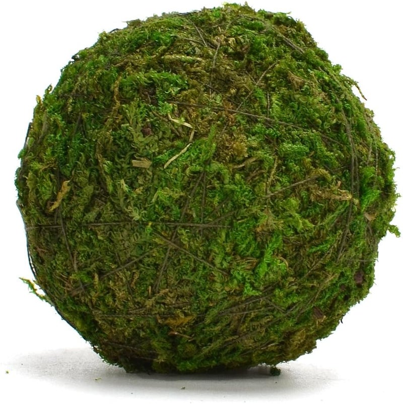 BYHER Natural Green Moss Decorative Ball,Handmade (2"-Set of 12) - Image 5