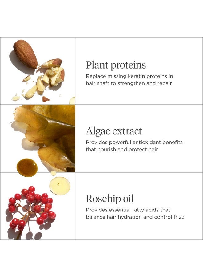 بريوجيو بلسم بريوجيو "لا تيأس، أصلح!" فائق الترطيب، للشعر الجاف والتالف، مرطب للشعر بزيت الأرغان، نباتي، خالٍ من القسوة، 236 مل - Image 4