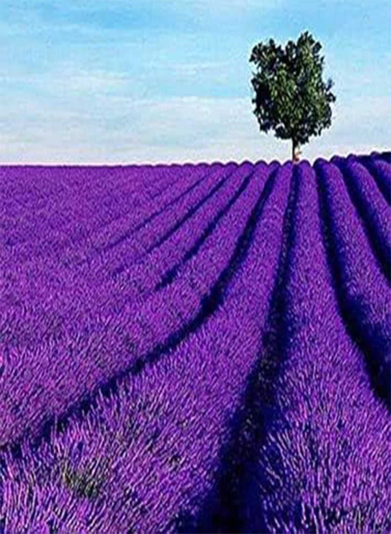 GGOOT seeds Fresh 200 pcs Lavender Balcony Flower Seeds for Planting Violet