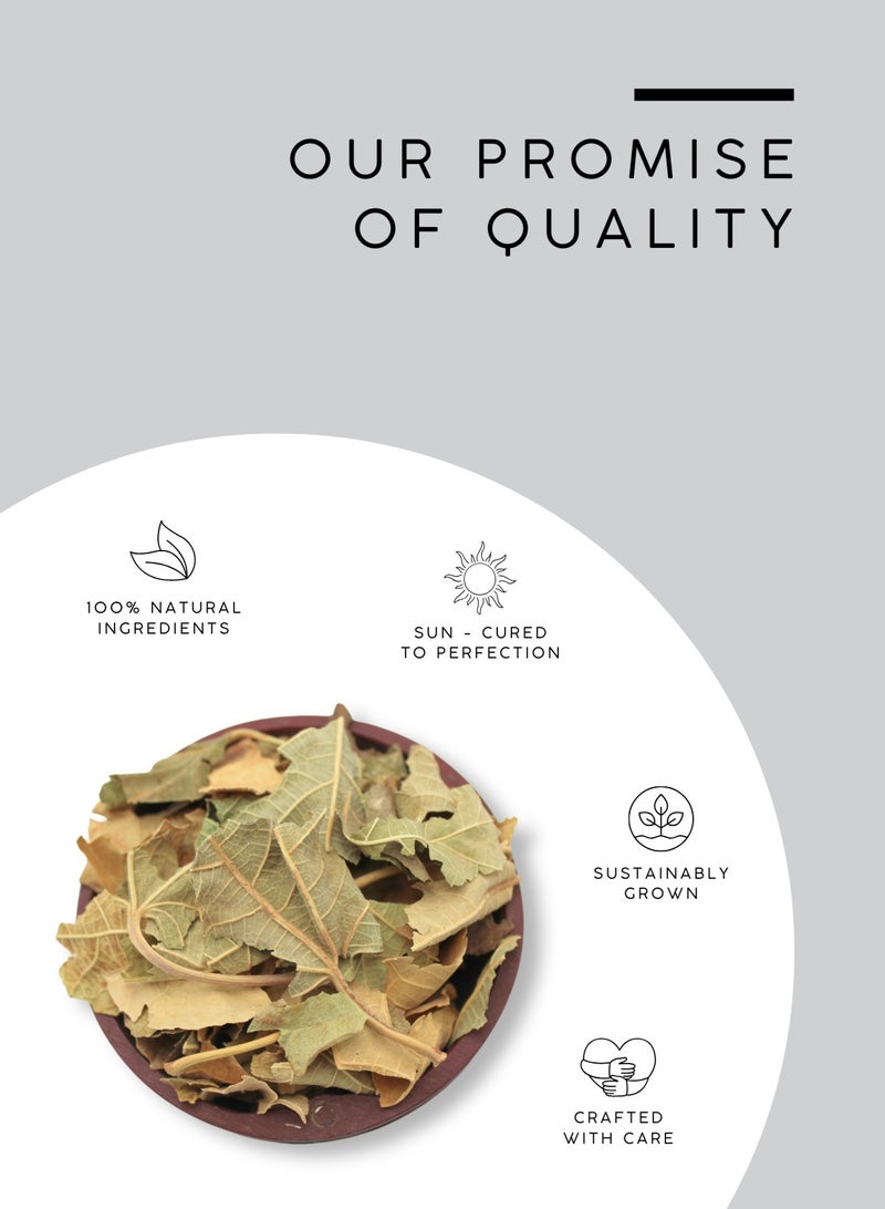 AWAFI MILL Fig Leaves (Ficus carica) | Dried Leaves for Herbal Tea, Syrups and Cooking Wraps | Coconut-Vanilla, Almond-Like Aroma - 100 g | 3.5 Oz - Image 4