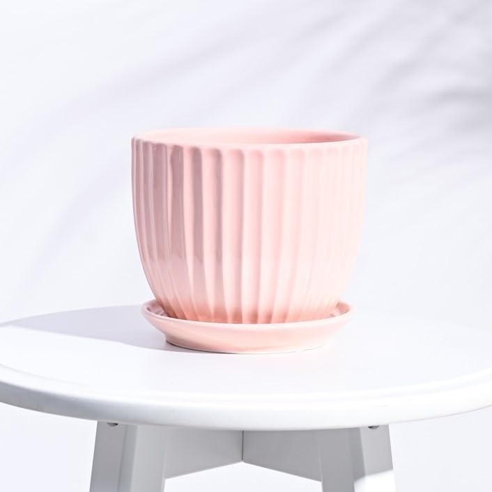 أوجاو وعاء سيراميك Grail للنباتات الداخلية - لون خوخي (5 بوصات) - Image 1