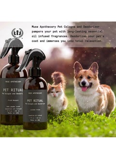 Pet Ritual Pet Cologne Spray For Dogs  Dog Perfume Spray Long Lasting After Bath  Pet Perfume For Dogs  Pet Deodorant Spray For Dogs  Essential Oils Infused  4Oz, Fresh Bouquet - pzsku/ZE0C65AB2F7EBC89E0787Z/45/_/1726220375/f8a8f6d6-6423-4cac-99cf-b625a6fc550f