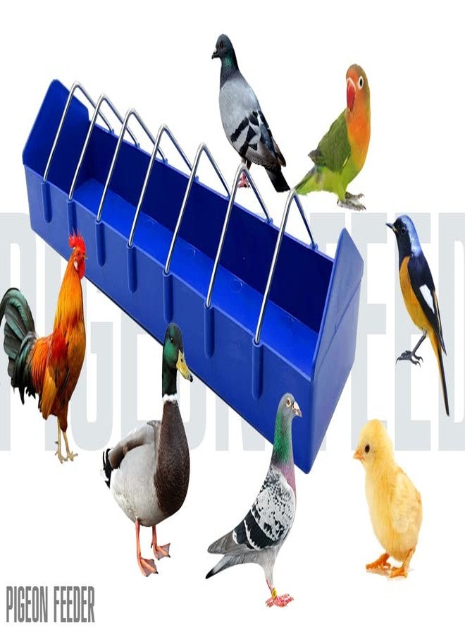 إيكجيي وعاء تغذية الحمام من إيكجويي، قطعتان، مناسب للطيور والدواجن والدجاج والبط والببغاوات والسمان، وعاء تغذية كبير سميك ومتين مزود بفتحات، أداة توزيع طعام - Image 4