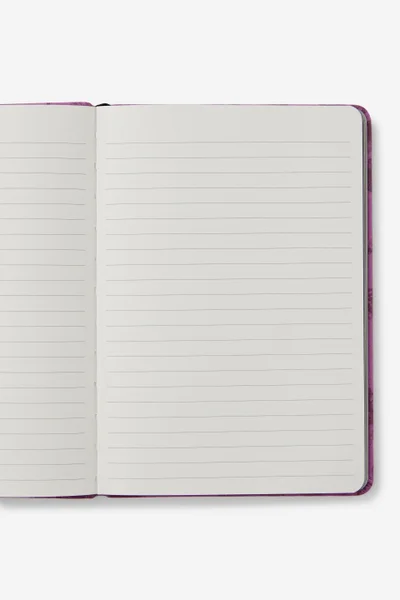 تايبو دفتر بوفالو