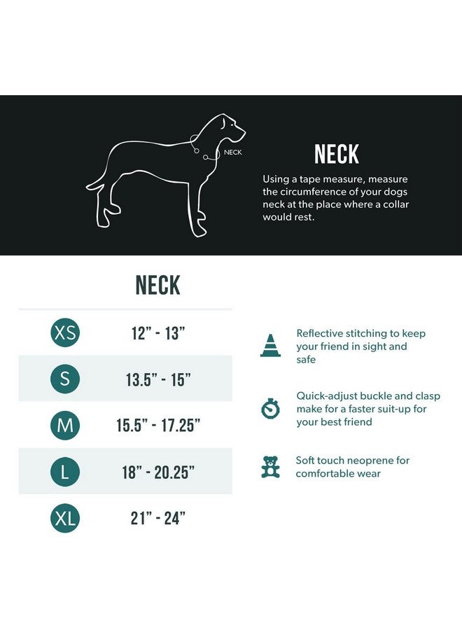 إيزي دوج طوق الكلاب EzyDog Neo، صغير، أزرق - Image 5