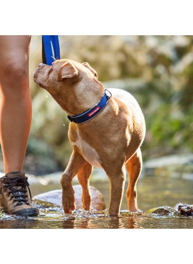 إيزي دوج طوق الكلاب EzyDog Neo، صغير، أزرق - Image 3