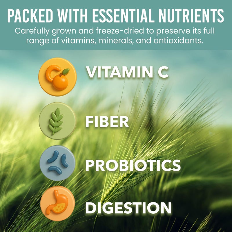 Holistic Bin Organic Barley Grass Juice Powder - 100% Pure USDA Organic - Fermented with 35 Probiotic Strains - Nutrient-Dense Green Superfood for Smoothies - Supports Digestion - 30 Day Supply (50g) - Image 4