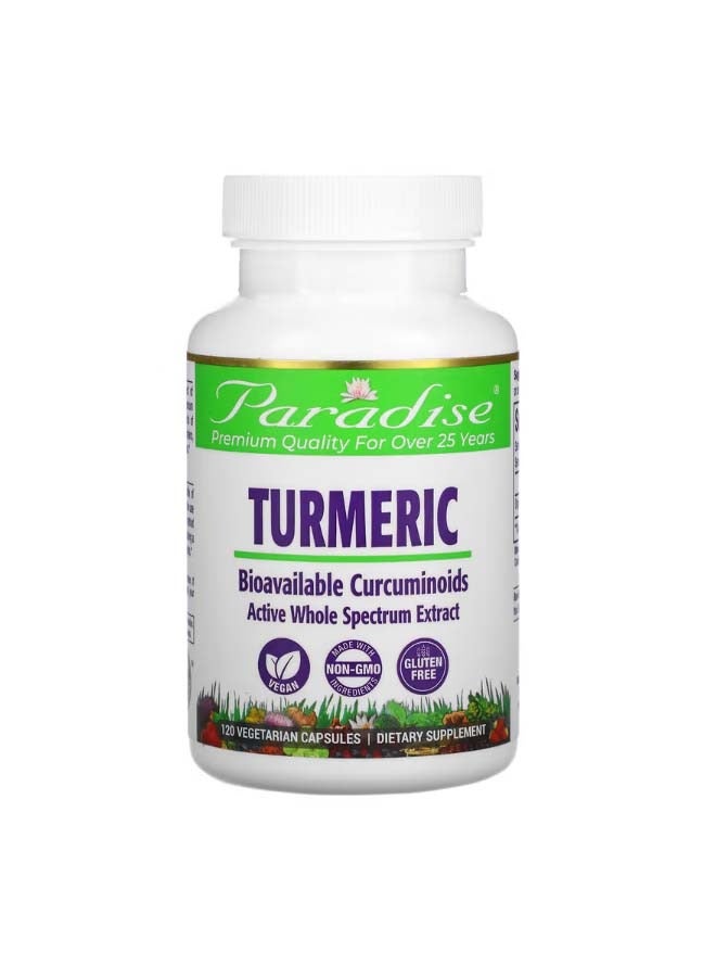 بارادايس هيربس Turmeric 250 mg 120 Vegetarian Capsules - Image 1